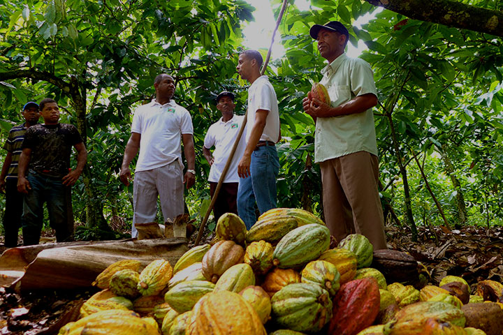 cacao farmers