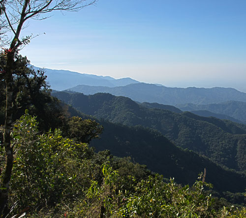 El Triunfo Biosphere, Mexico