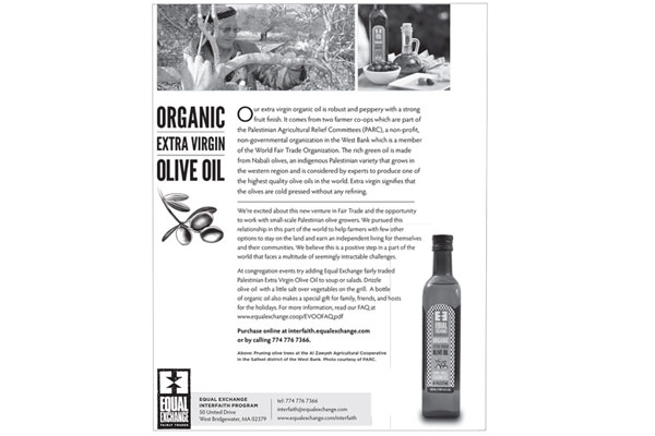 Olive Oil Flyer