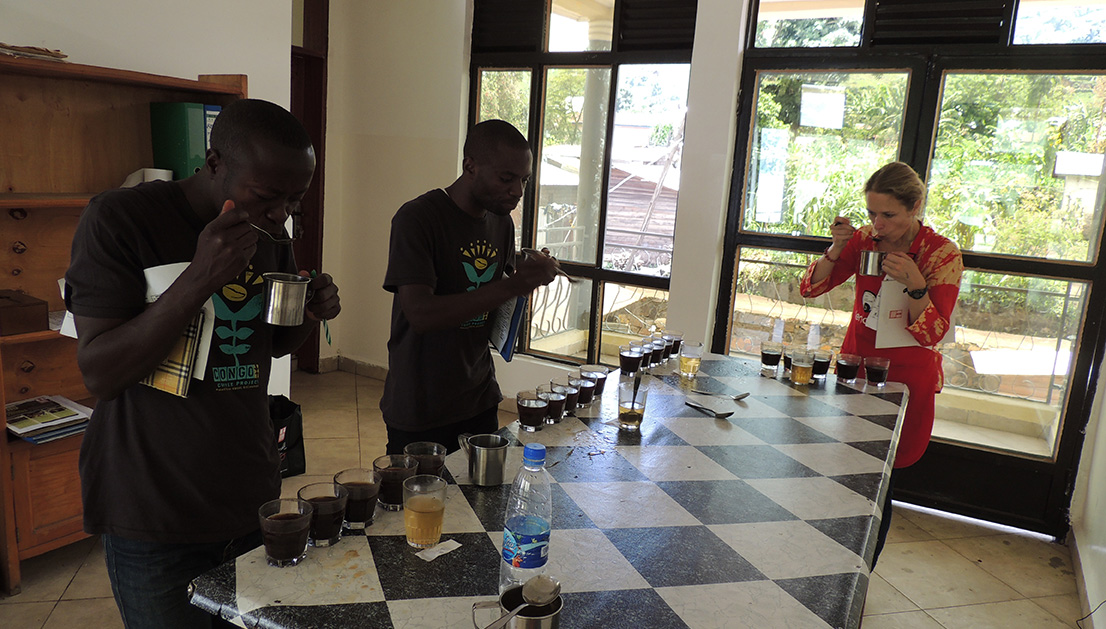 Cupping Congo Coffee