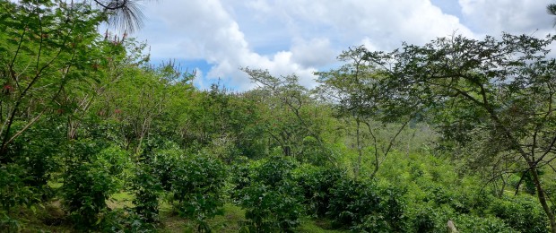 honduras