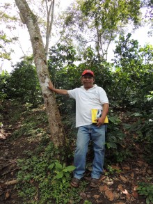 PRODECOOP member in shade covered coffee