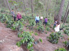 cooperation in productivity