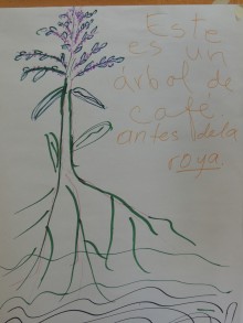 roya tree sketch