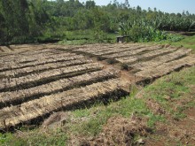 Drying beds at SCFCU