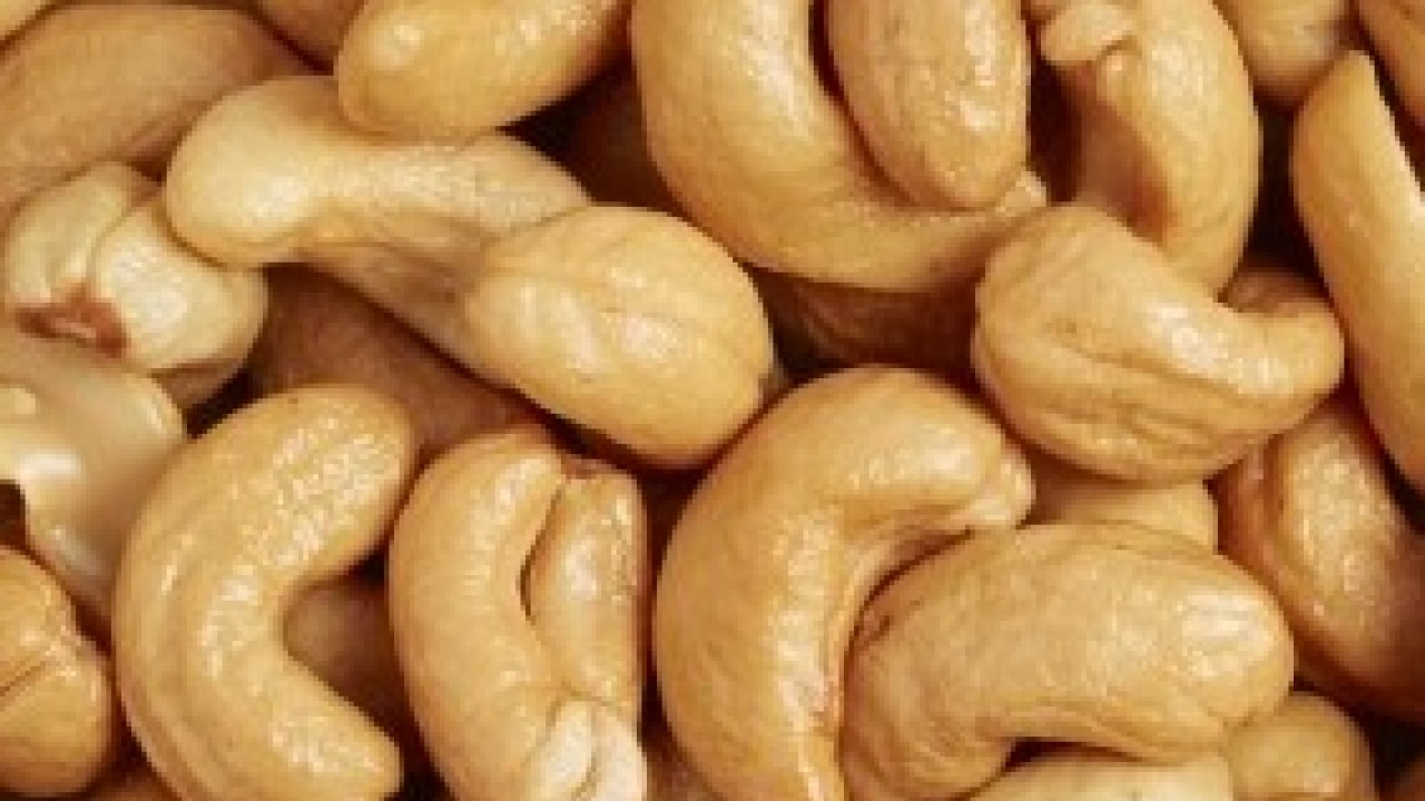 cashew nutrition facts per cup