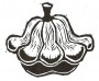 Patty Pan Coop Logo