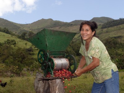 From Bean to Cup | Equal Exchange