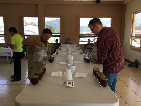 cupping manos