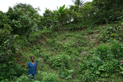 Maria Teresa Carvajal Raad shows us a landslide from the 2016 earthquake on their farm