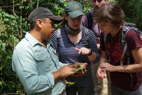 Chiapas Mexico