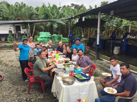 banana farm lunch