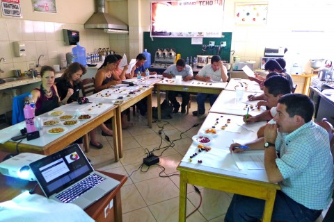 cacao tasting