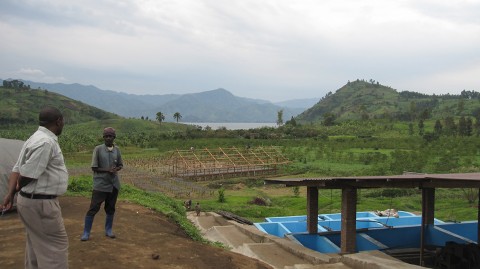 SOPACDI Coffee Processing