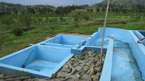 SOPACDI Coffee Processing