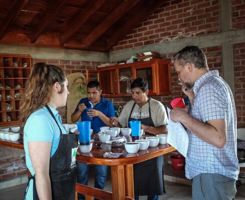 chiapas coffee cupping