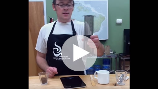 How to Brew Coffee with an Aeropress Video
