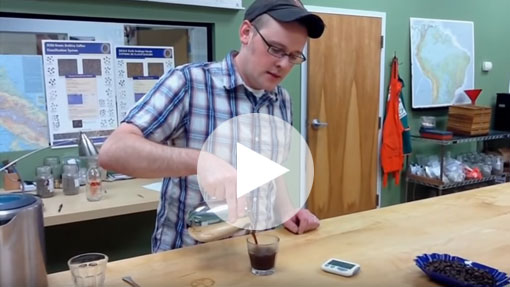 How to Brew Coffee with a French Press Video